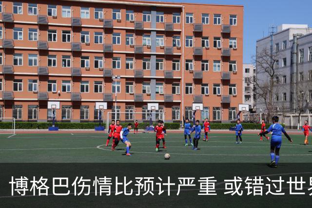 博格巴伤情比预计严重 或错过世界杯到明年才复出